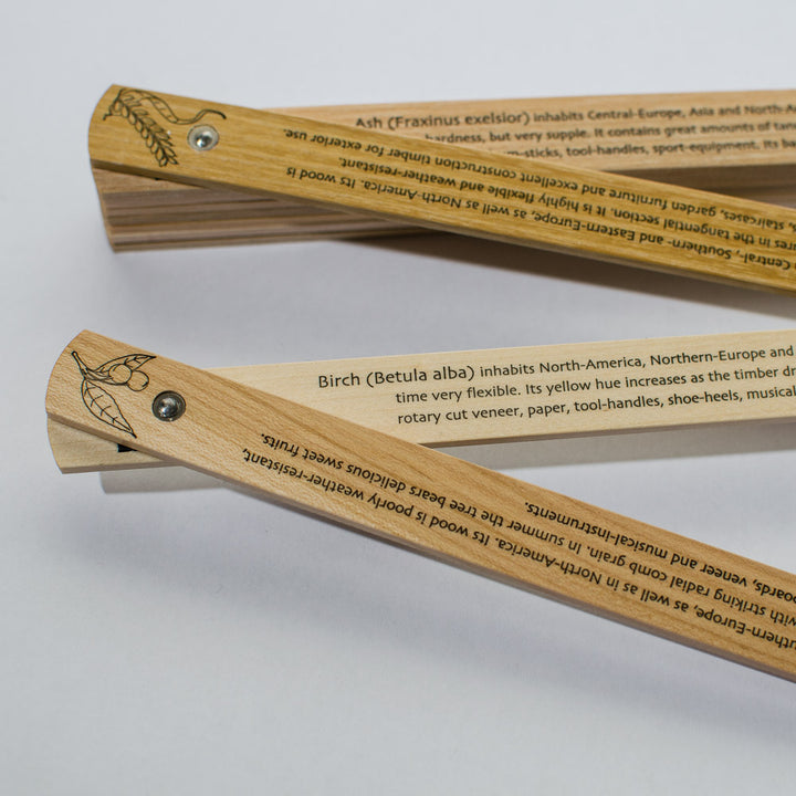 Wooden Folding Ruler, 2 Metre