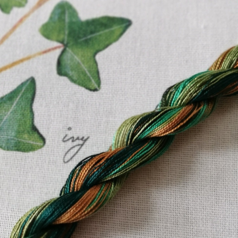 Dee Hardwicke Watercolour Sampler Cloths and Paint Box Thread twists - Holly & Ivy