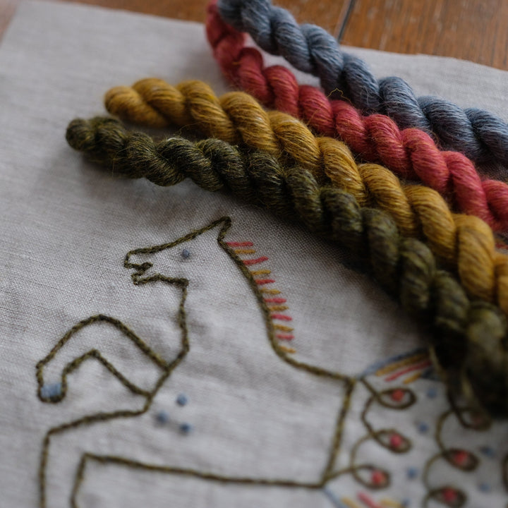 Hippocampus Embroidery Kit