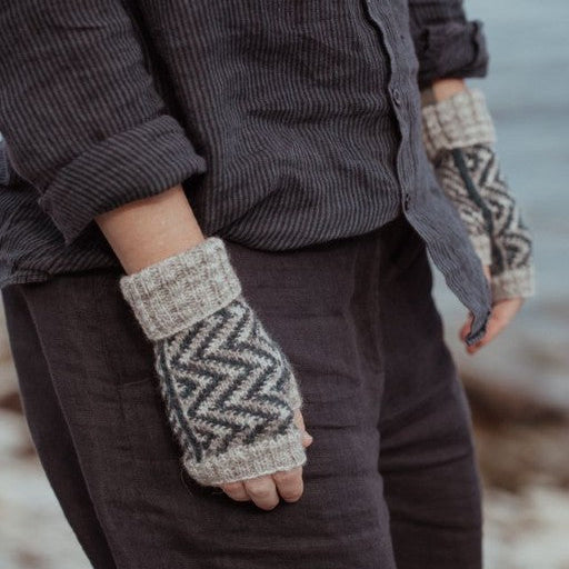 The Island and the Forest by Lotta H. Löthgren and Erika Åberg - pre-order for 16 April