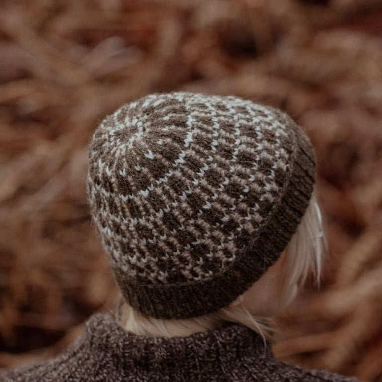 The Island and the Forest by Lotta H. Löthgren and Erika Åberg - pre-order for 16 April