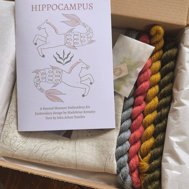 Hippocampus Embroidery Kit