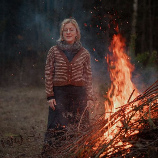 The Island and the Forest by Lotta H. Löthgren and Erika Åberg - pre-order for 16 April