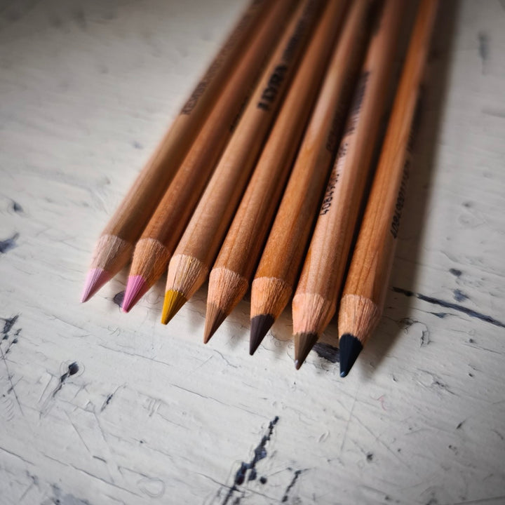 Lyra Rembrandt Polycolour Skin Tone Pencils - pack of 7