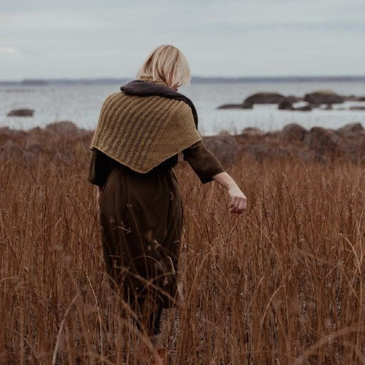 The Island and the Forest by Lotta H. Löthgren and Erika Åberg - pre-order for 16 April