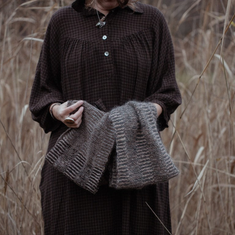 The Island and the Forest by Lotta H. Löthgren and Erika Åberg - pre-order for 16 April