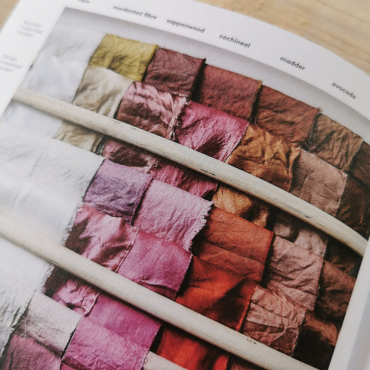 Botanical Dyes by Babs Behan