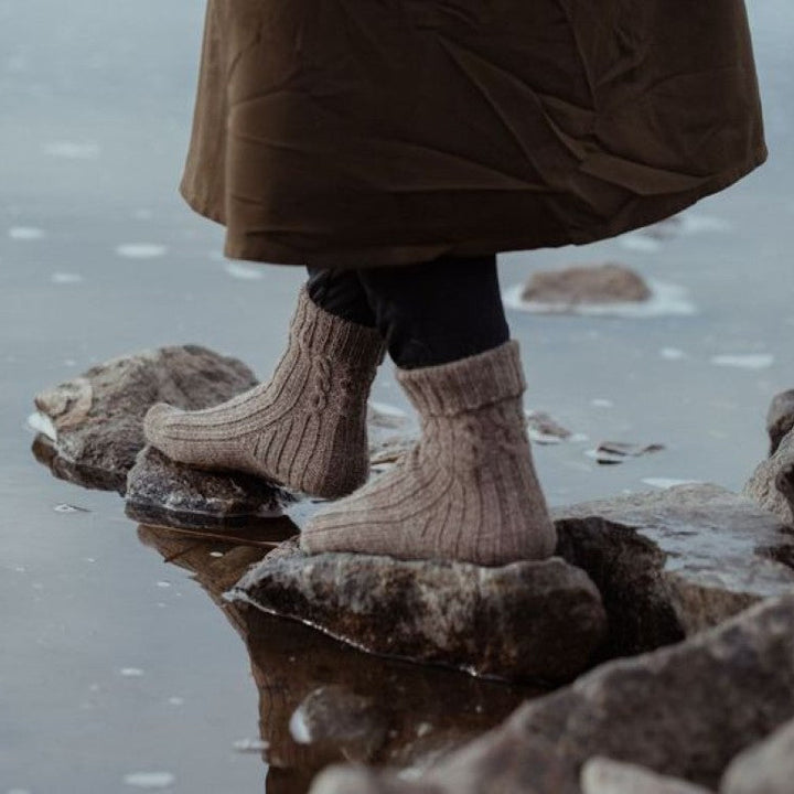 The Island and the Forest by Lotta H. Löthgren and Erika Åberg - pre-order for 16 April