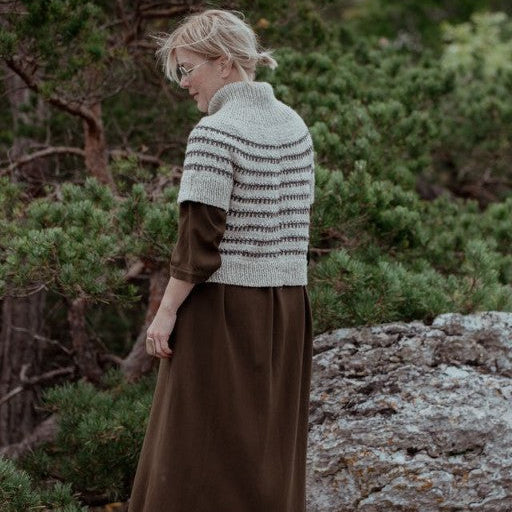 The Island and the Forest by Lotta H. Löthgren and Erika Åberg - pre-order for 16 April