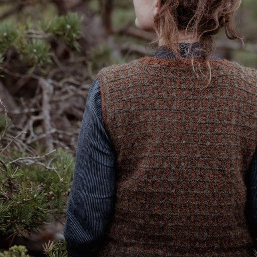 The Island and the Forest by Lotta H. Löthgren and Erika Åberg - pre-order for 16 April