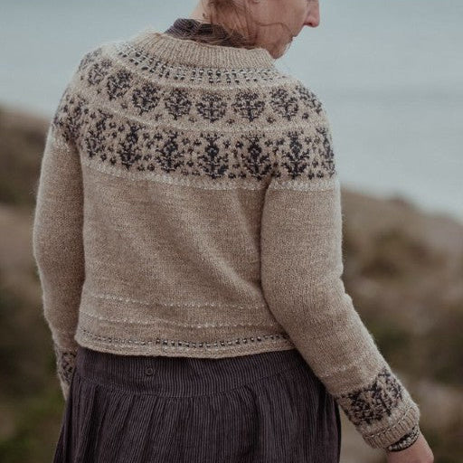 The Island and the Forest by Lotta H. Löthgren and Erika Åberg - pre-order for 16 April