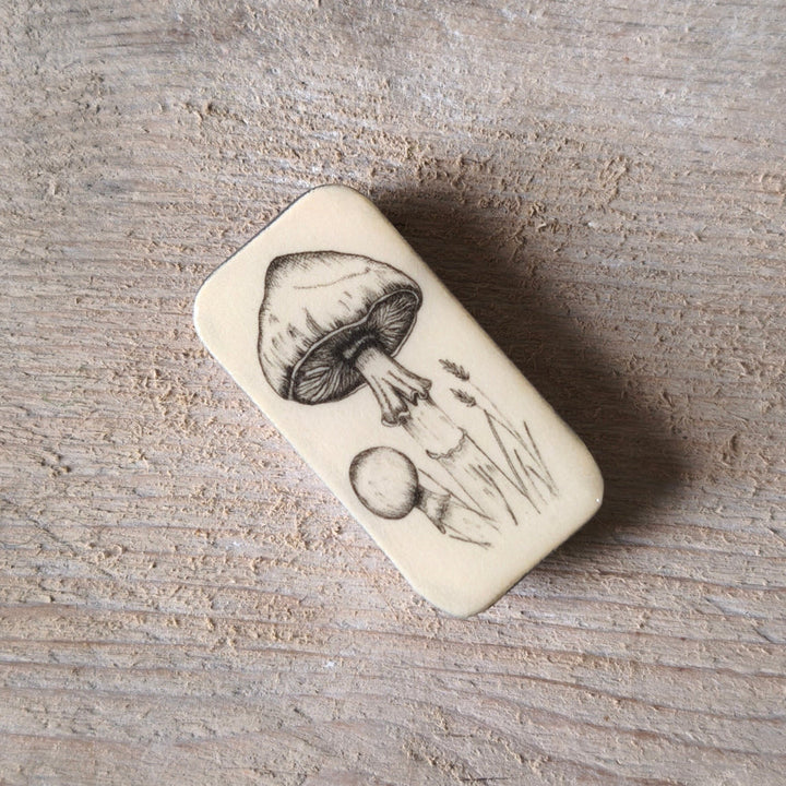 Leigh Shepherd Tiny Tin