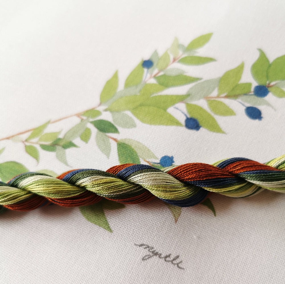 Paint Box Threads Twists for Dee Hardwicke designs