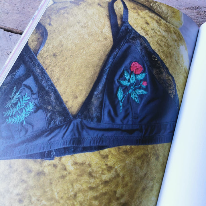 The Embroidered Closet by Alexandra Stratkotter